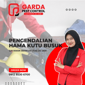 Layanan Jasa Pembasmi Hama Kutu Kasur