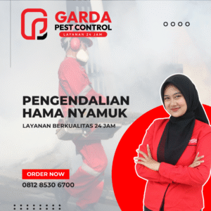 Jasa Fogging Nyamuk Semarang Profesional - Bergaransi