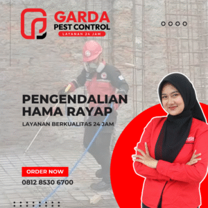 Jasa Anti Rayap Terdekat di Semarang