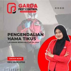 Jasa Basmi Tikus di Semarang