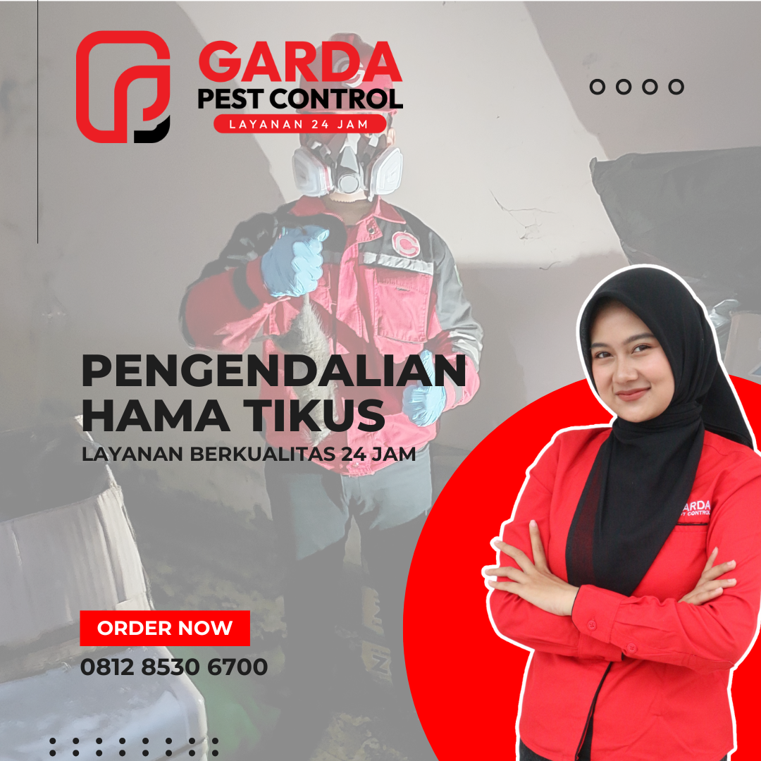 Jasa Basmi Tikus di Semarang