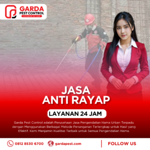 Jasa Pembasmi Rayap di Mijen Semarang: Benteng Tangguh Lawan Rayap