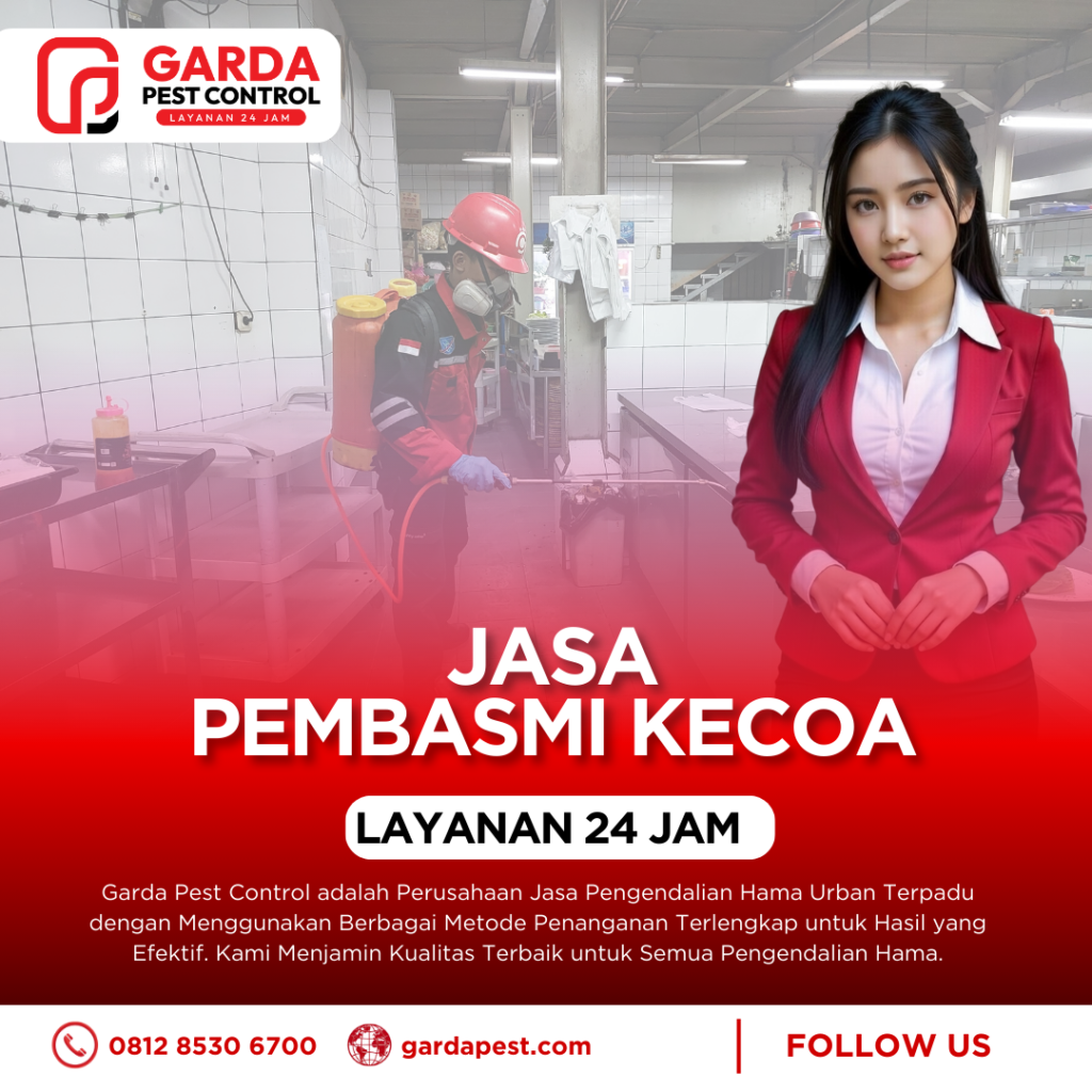 Harga Jasa Pembasmi Kecoa Semarang