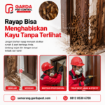 Biaya Jasa Anti Rayap di Semarang per Meter Terbaru 2025