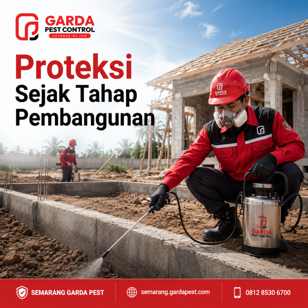 Jasa Anti Rayap untuk Gedung dan Gudang di Semarang dengan Metode Profesional Bergaransi