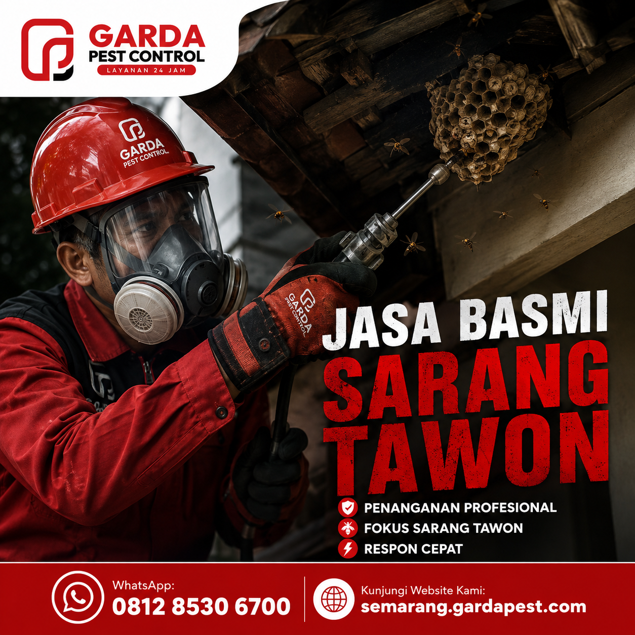 Jasa Pembasmi Tawon 24 Jam Semarang Terpercaya untuk Evakuasi Bahaya Sarang Vespa